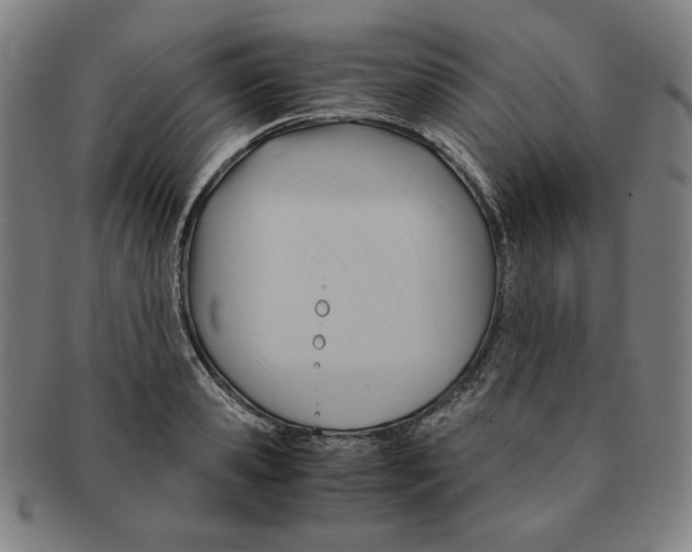 X0000090960941200708301159