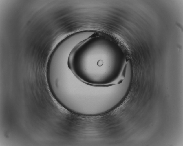 X0000090960942200708301159