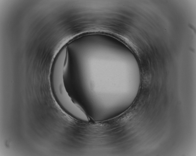 X0000090960943200708301159