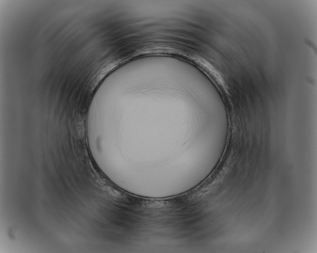 X0000090960945200708301159