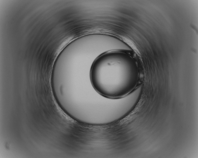 X0000090960946200708301159