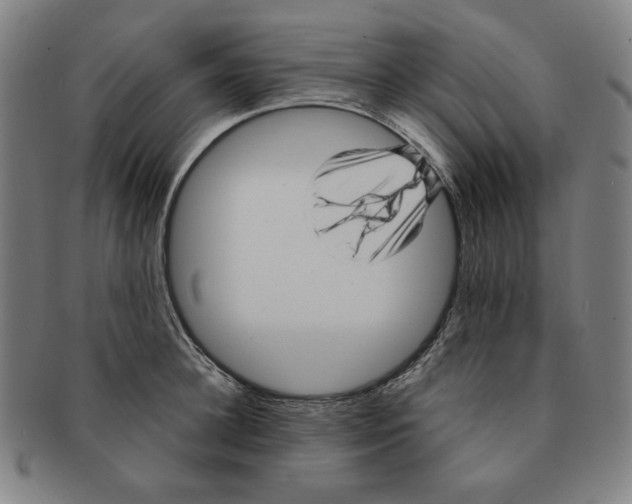 X0000090960948200708301159