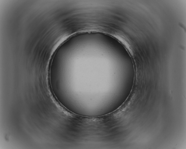 X0000090960949200708301159