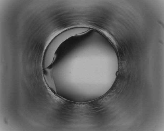 X0000090960951200708301159