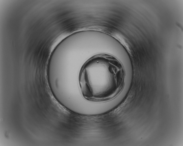 X0000090960952200708301200