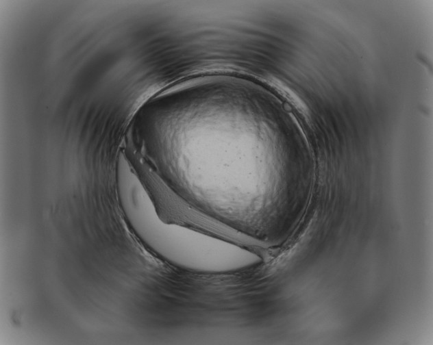 X0000090960953200708301200