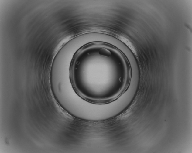 X0000090960954200708301200