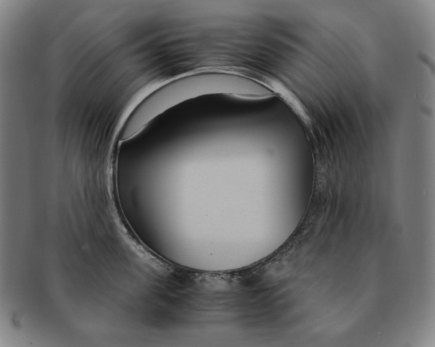 X0000090960955200708301200