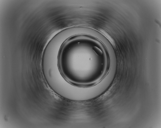 X0000090960956200708301200