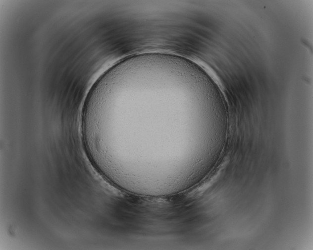 X0000090960957200708301200