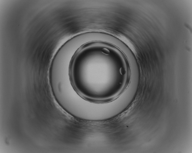 X0000090960958200708301200