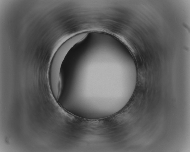 X0000090960959200708301200