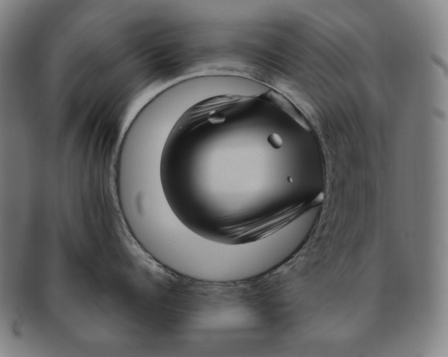 X0000090960960200708301200