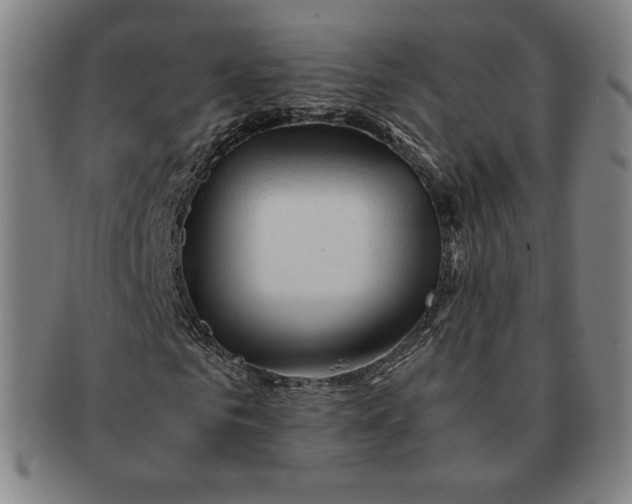 X0000090960961200708301159