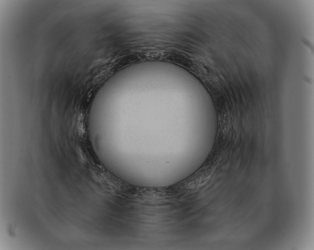 X0000090960962200708301159