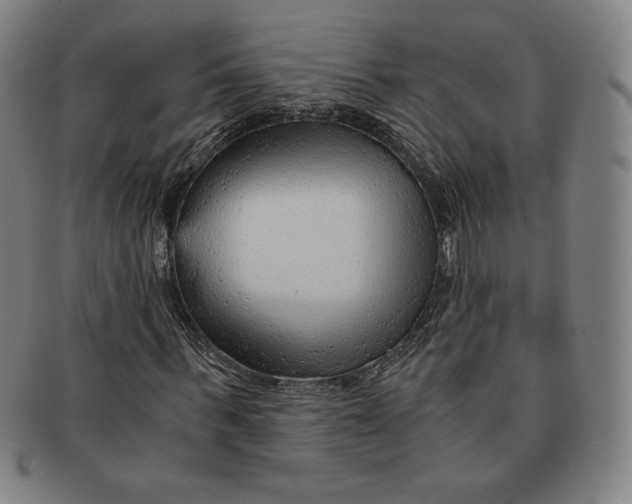 X0000090960963200708301159