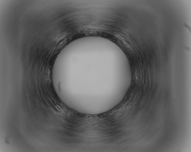 X0000090960964200708301159