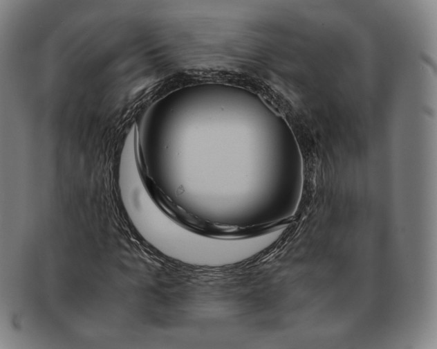 X0000090960965200708301159