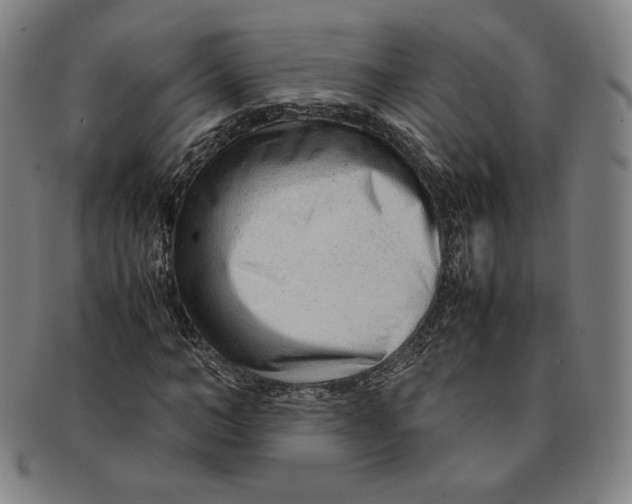 X0000090960966200708301159