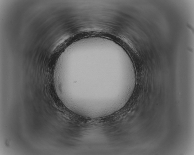 X0000090960967200708301159