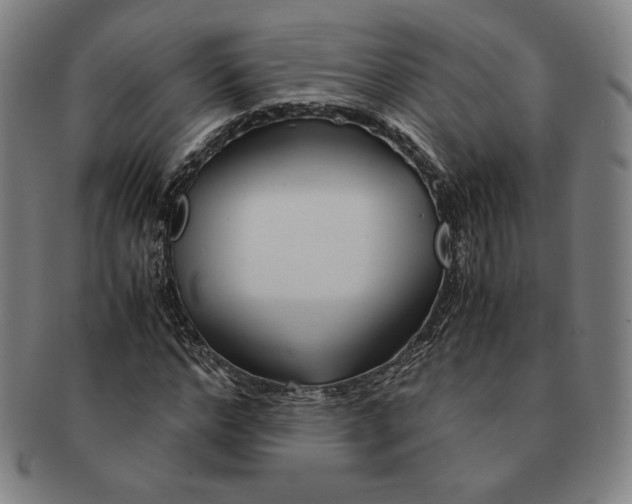 X0000090960968200708301159