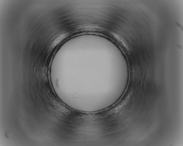 X0000090960970200708301159