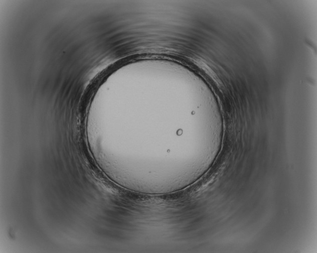 X0000090960971200708301159