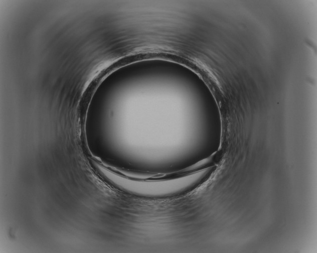 X0000090960973200708301159