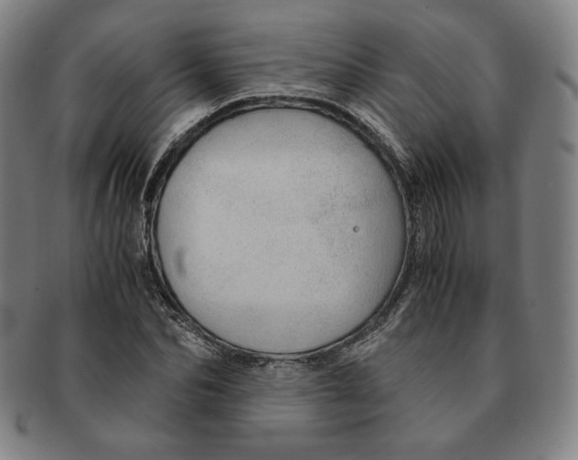 X0000090960974200708301159