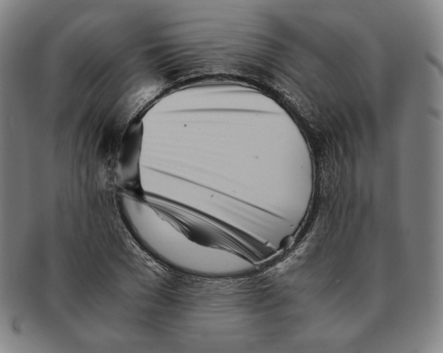 X0000090960977200708301159