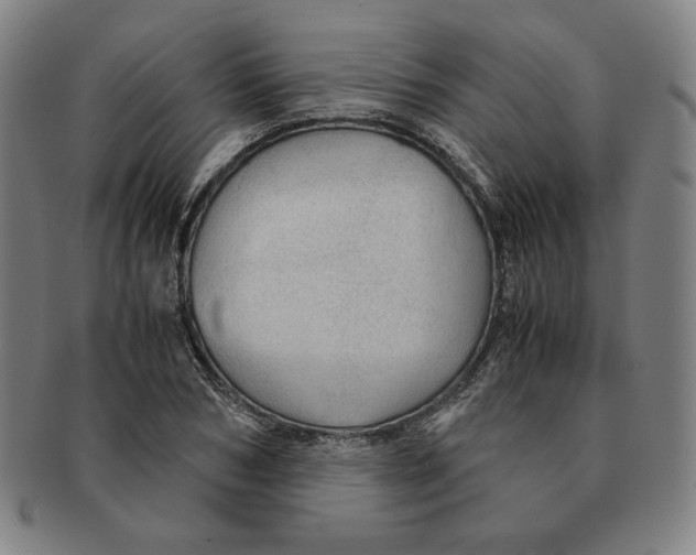 X0000090960978200708301159