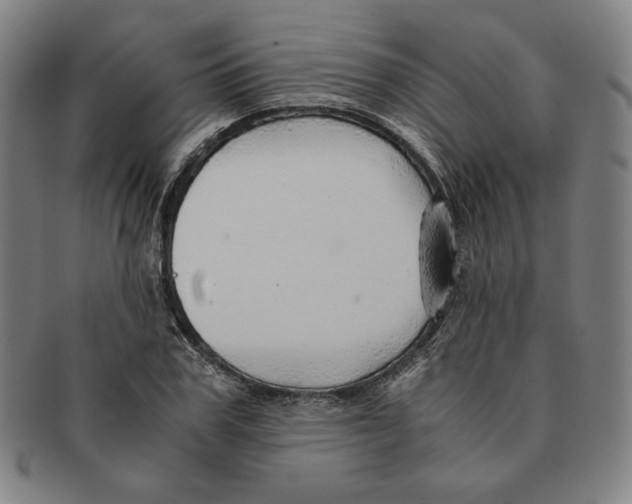 X0000090960979200708301159