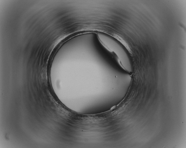 X0000090960980200708301159