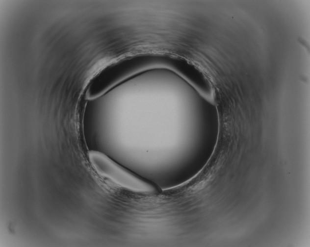 X0000090960981200708301159