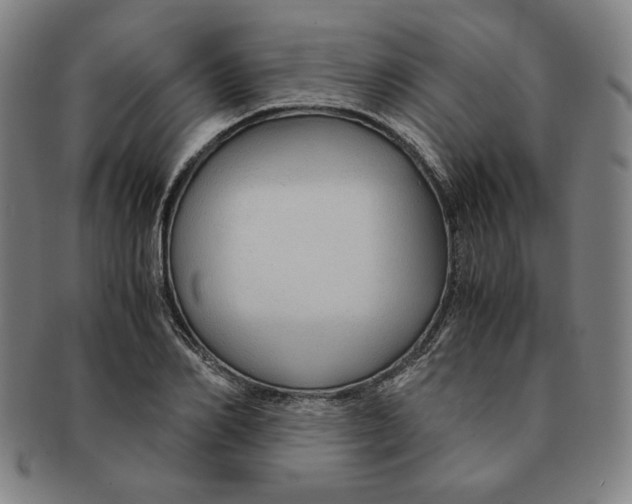 X0000090960982200708301159