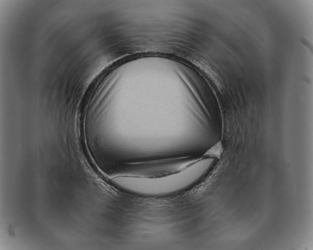 X0000090960983200708301159