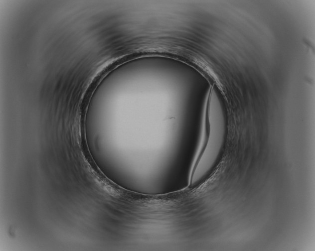 X0000090960984200708301158