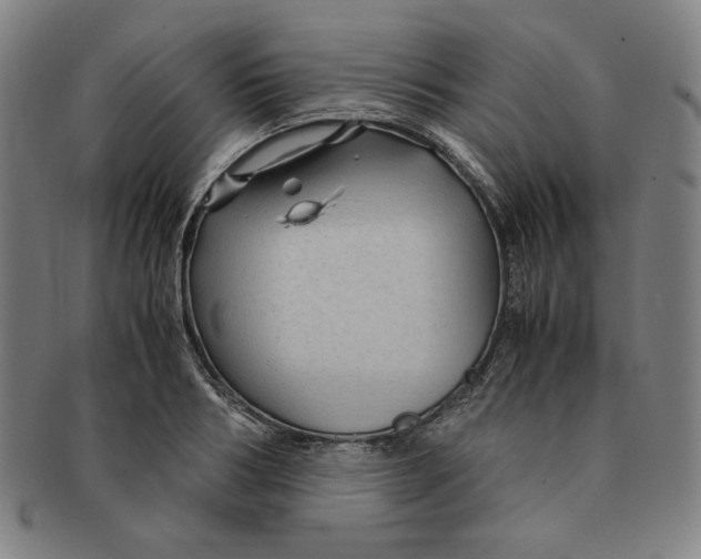 X0000090960986200708301158