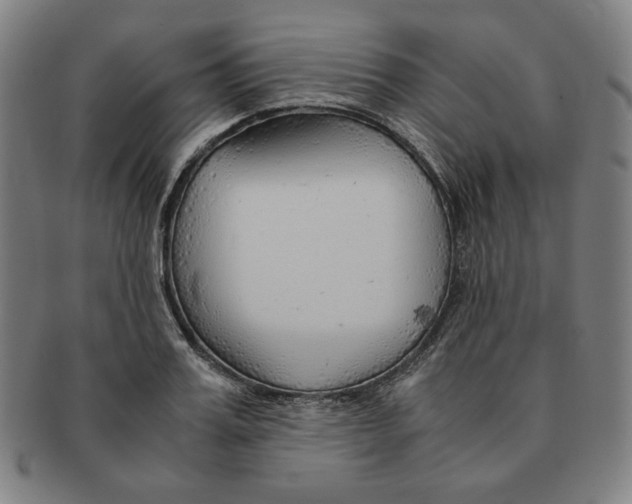 X0000090960987200708301158