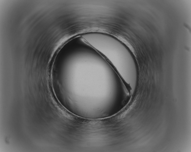 X0000090960989200708301158