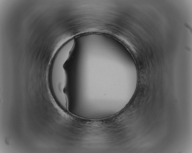 X0000090960991200708301158