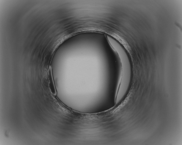 X0000090960993200708301158