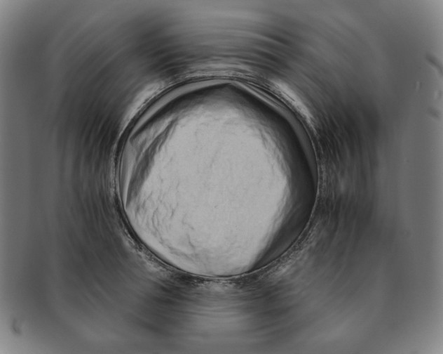 X0000090960994200708301158