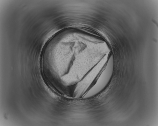 X0000090960995200708301158