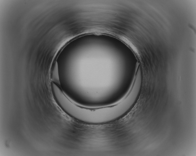 X0000090960996200708301158