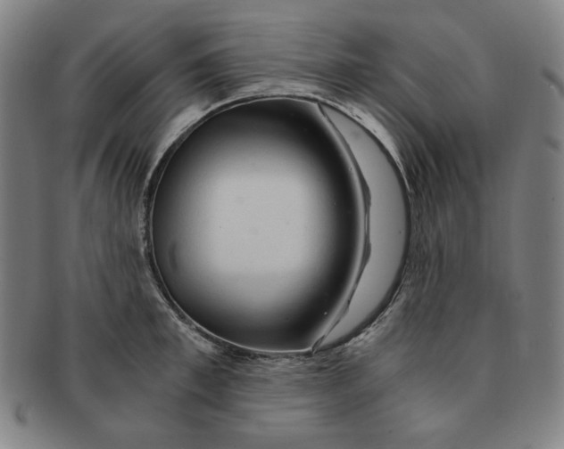 X0000090960997200708301158