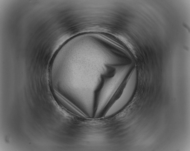 X0000090960998200708301158