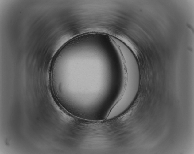 X0000090960999200708301158