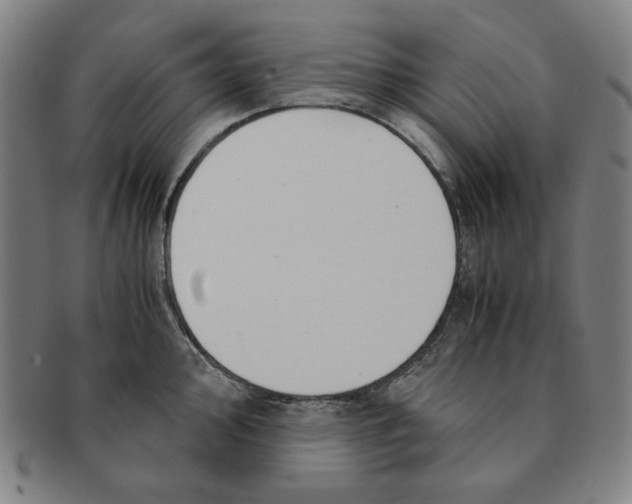 X0000090961000200708301158