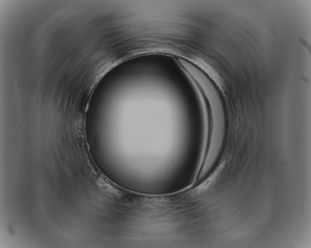 X0000090961001200708301158